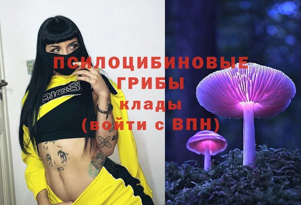 бутик Гусь-Хрустальный