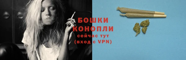 не бодяженный Гусиноозёрск